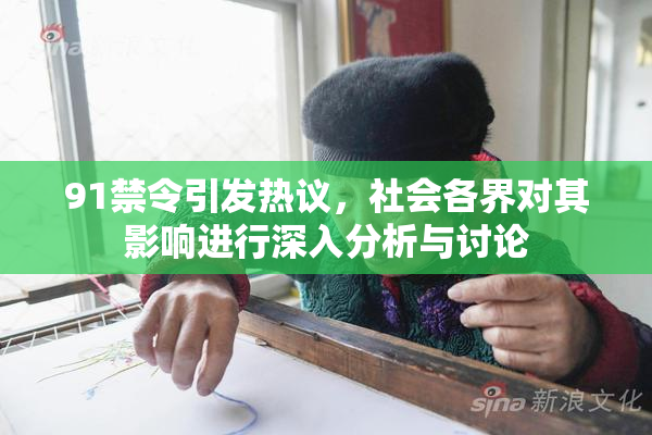 91禁令引发热议，社会各界对其影响进行深入分析与讨论