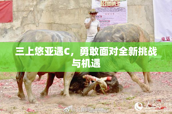 三上悠亚遇C，勇敢面对全新挑战与机遇