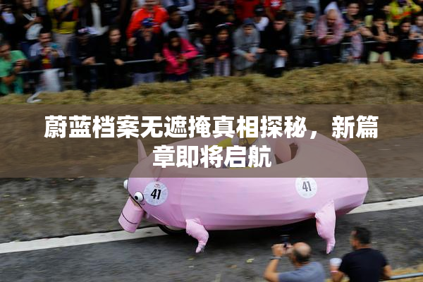 蔚蓝档案无遮掩真相探秘，新篇章即将启航