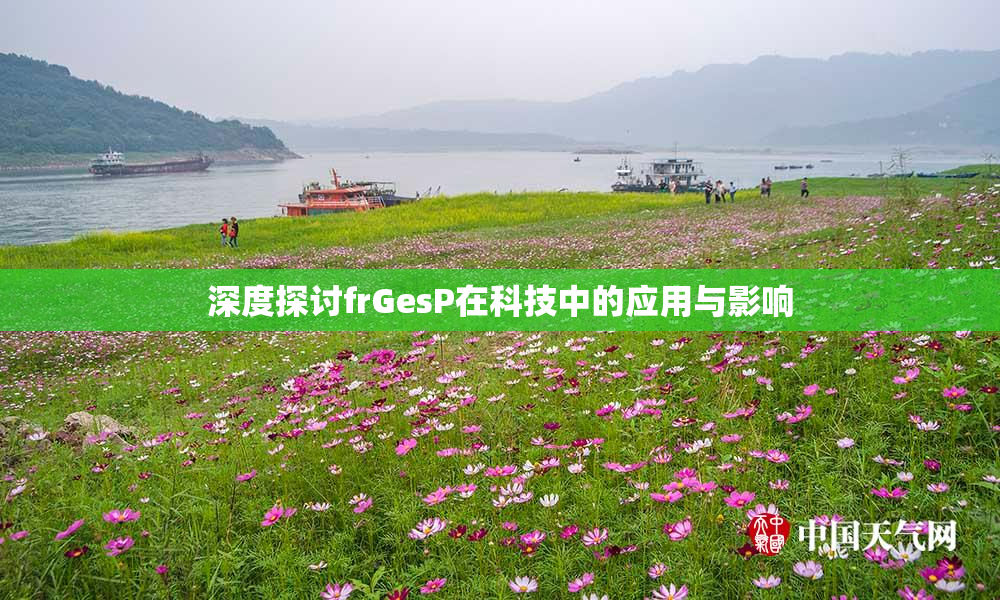 深度探讨frGesP在科技中的应用与影响