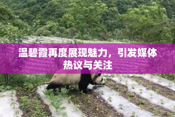 温碧霞再度展现魅力，引发媒体热议与关注