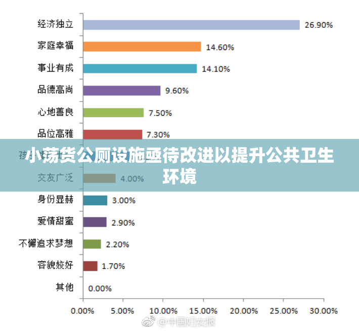 小荡货公厕设施亟待改进以提升公共卫生环境