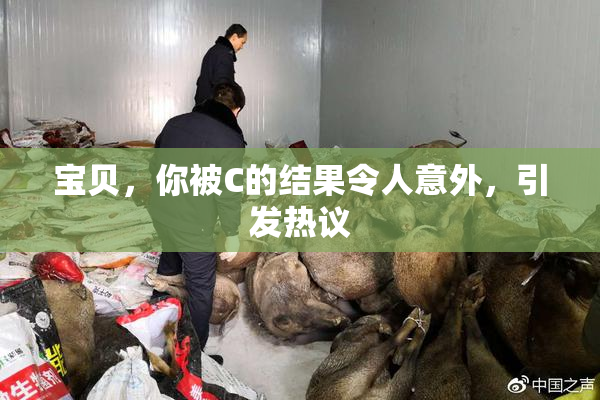宝贝，你被C的结果令人意外，引发热议