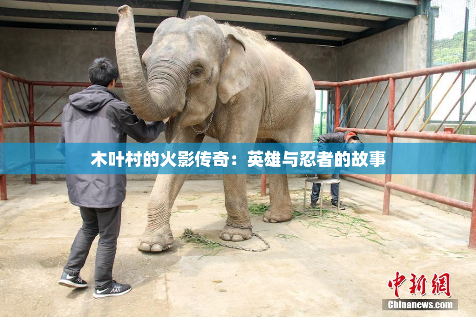 木叶村的火影传奇：英雄与忍者的故事