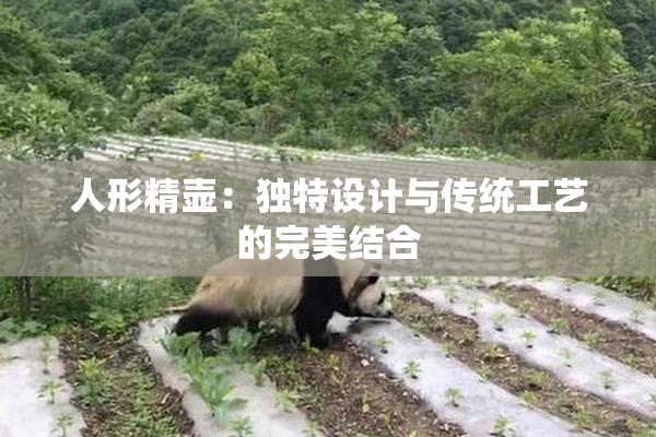 人形精壶：独特设计与传统工艺的完美结合