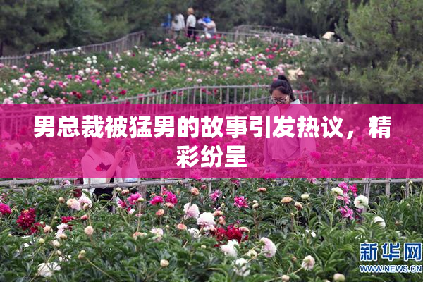男总裁被猛男的故事引发热议，精彩纷呈