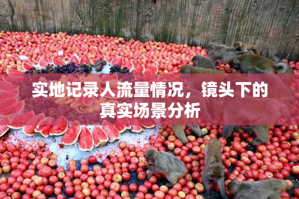 实地记录人流量情况，镜头下的真实场景分析