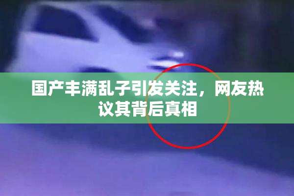 国产丰满乱子引发关注，网友热议其背后真相