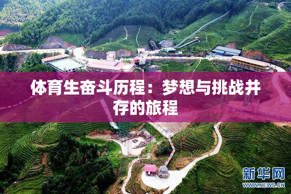 体育生奋斗历程：梦想与挑战并存的旅程