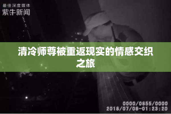 清冷师尊被重返现实的情感交织之旅