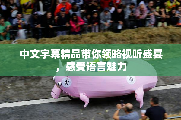 中文字幕精品带你领略视听盛宴，感受语言魅力
