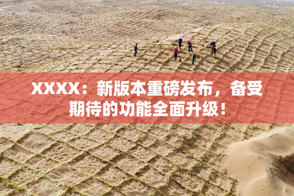 XXXX：新版本重磅发布，备受期待的功能全面升级！
