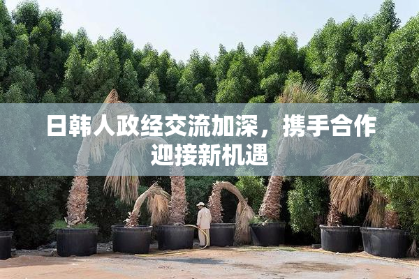 日韩人政经交流加深，携手合作迎接新机遇