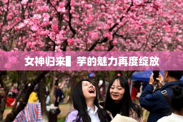 女神归来▌芋的魅力再度绽放