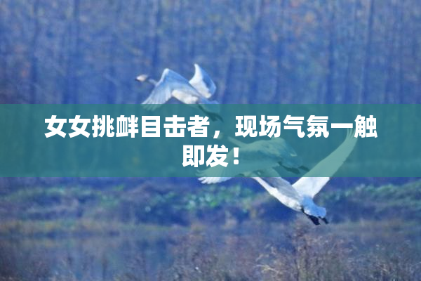 女女挑衅目击者，现场气氛一触即发！