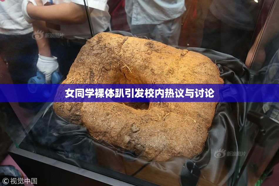 女同学裸体趴引发校内热议与讨论