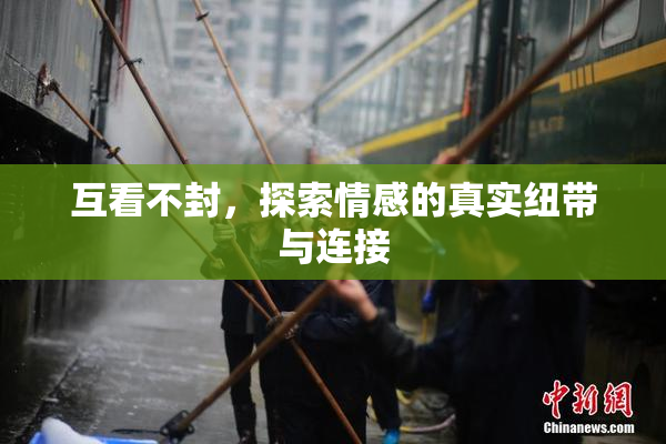 互看不封，探索情感的真实纽带与连接