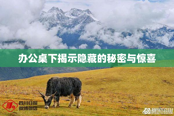 办公桌下揭示隐藏的秘密与惊喜
