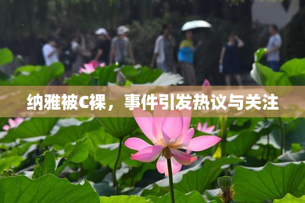 纳雅被C裸，事件引发热议与关注