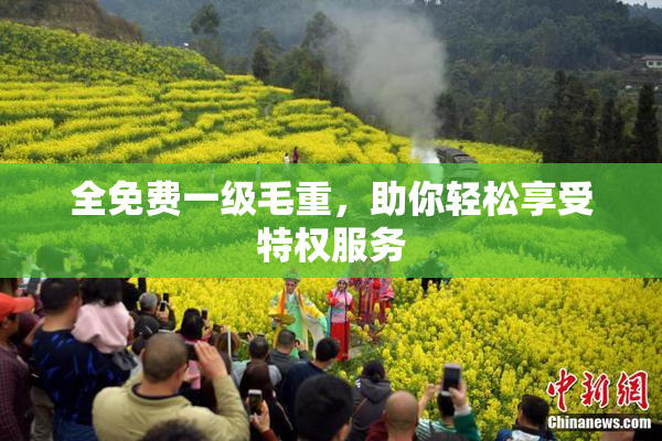 全免费一级毛重，助你轻松享受特权服务