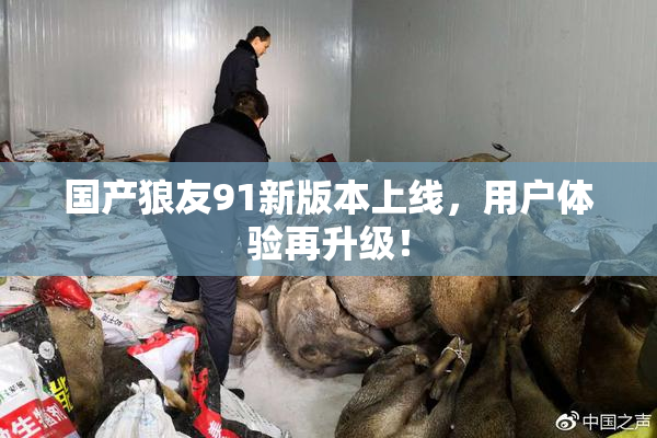 国产狼友91新版本上线，用户体验再升级！