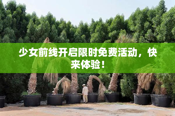 少女前线开启限时免费活动，快来体验！