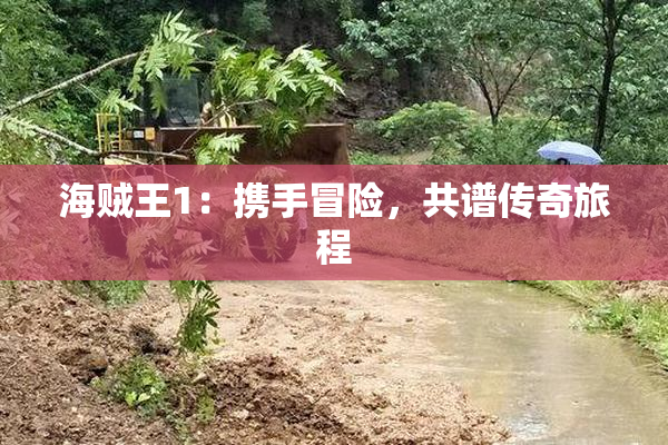 海贼王1：携手冒险，共谱传奇旅程