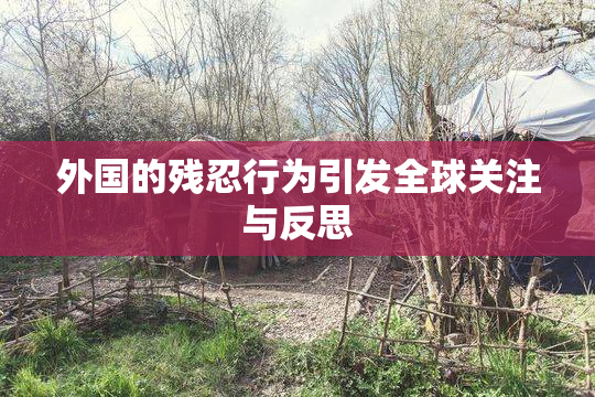 外国的残忍行为引发全球关注与反思