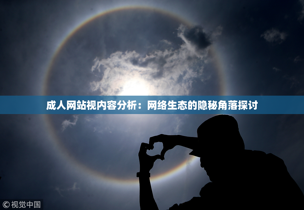 成人网站视内容分析：网络生态的隐秘角落探讨
