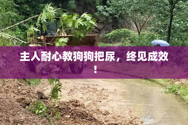 主人耐心教狗狗把尿，终见成效！