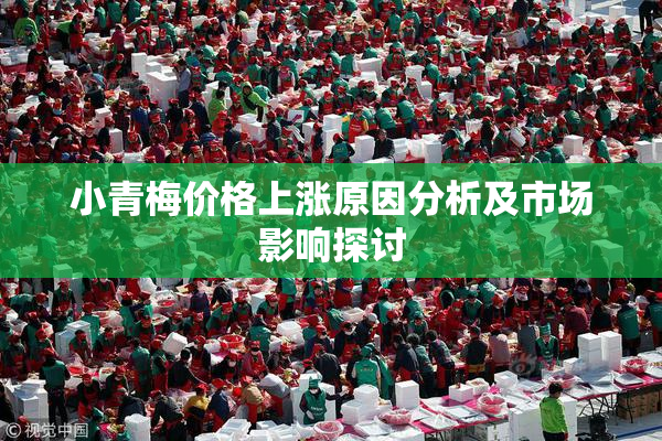 小青梅价格上涨原因分析及市场影响探讨