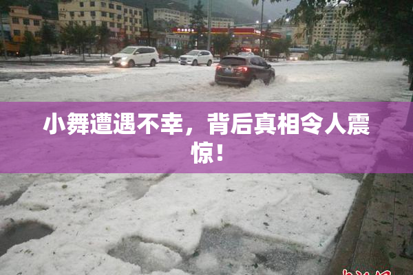 小舞遭遇不幸，背后真相令人震惊！