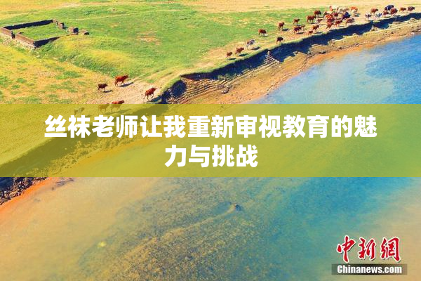 丝袜老师让我重新审视教育的魅力与挑战
