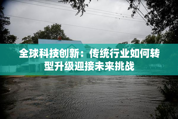 全球科技创新：传统行业如何转型升级迎接未来挑战