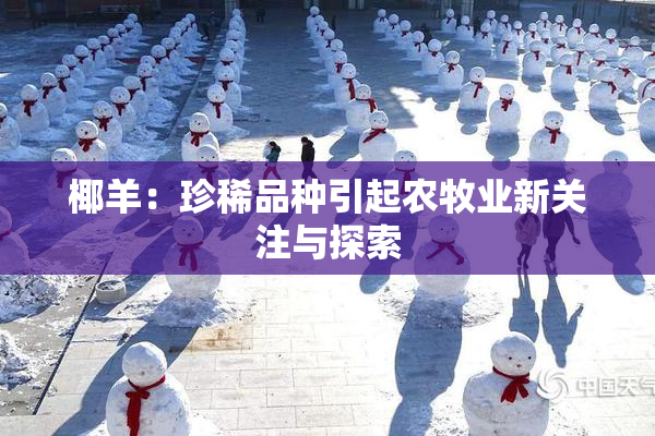 椰羊：珍稀品种引起农牧业新关注与探索