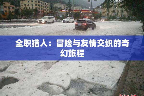 全职猎人：冒险与友情交织的奇幻旅程