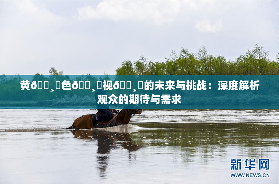 黄🌸‌色🌸‌视🌸‌的未来与挑战：深度解析观众的期待与需求