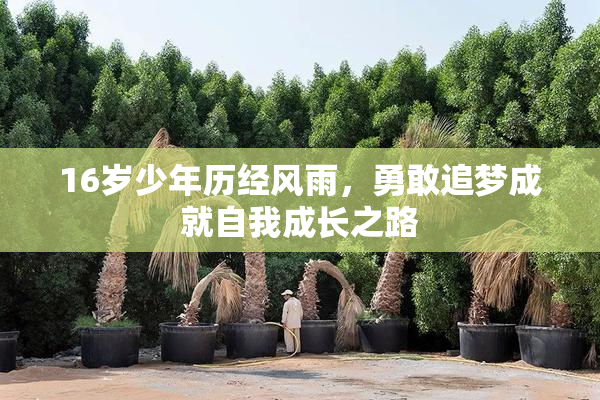 16岁少年历经风雨，勇敢追梦成就自我成长之路