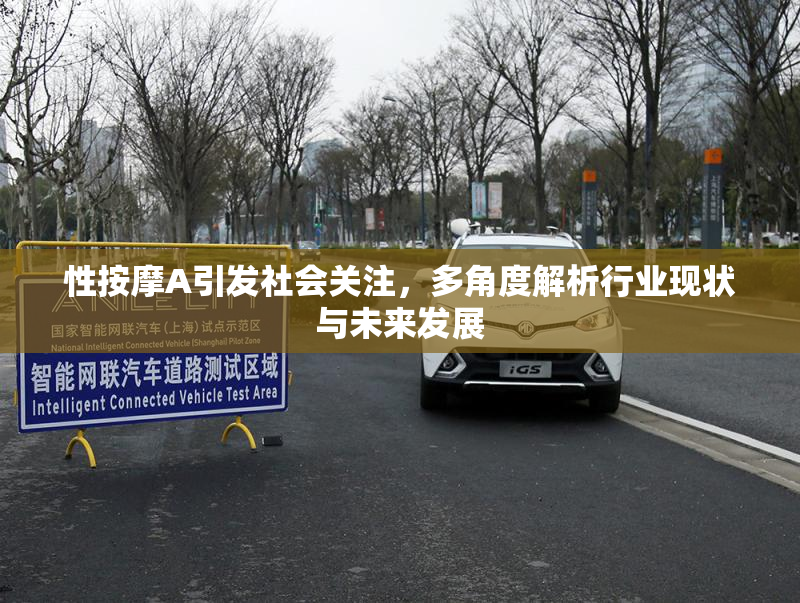 性按摩A引发社会关注，多角度解析行业现状与未来发展