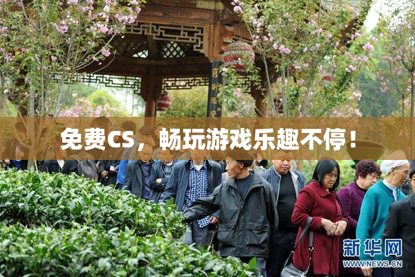 免费CS，畅玩游戏乐趣不停！