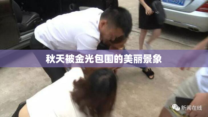 秋天被金光包围的美丽景象