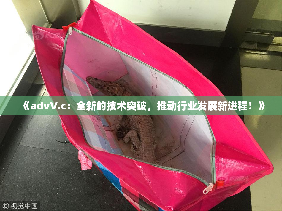 《advV.c：全新的技术突破，推动行业发展新进程！》