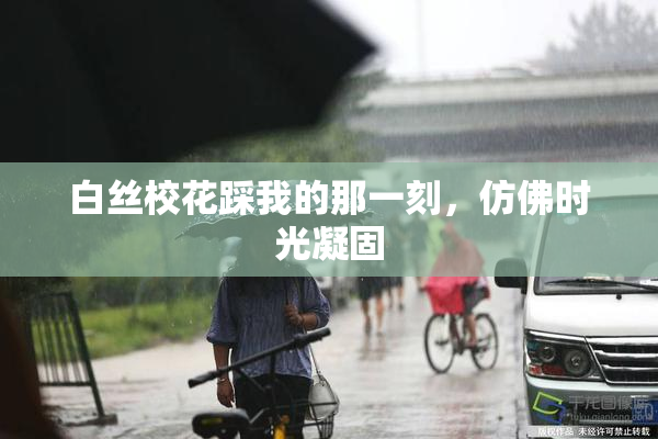 白丝校花踩我的那一刻，仿佛时光凝固