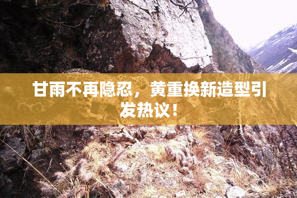 甘雨不再隐忍，黄重换新造型引发热议！
