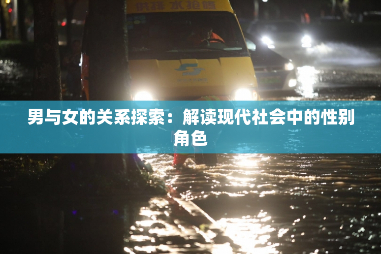 男与女的关系探索：解读现代社会中的性别角色