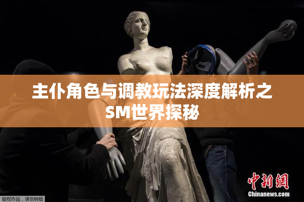 主仆角色与调教玩法深度解析之SM世界探秘