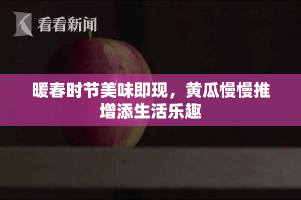 暖春时节美味即现，黄瓜慢慢推增添生活乐趣