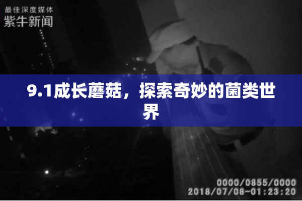 9.1成长蘑菇，探索奇妙的菌类世界