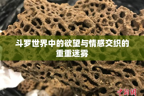 斗罗世界中的欲望与情感交织的重重迷雾