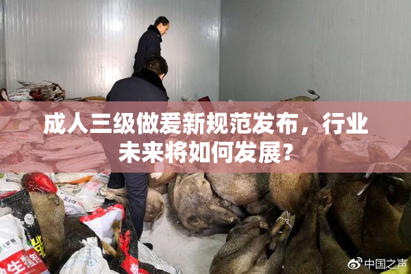 成人三级做爰新规范发布，行业未来将如何发展？